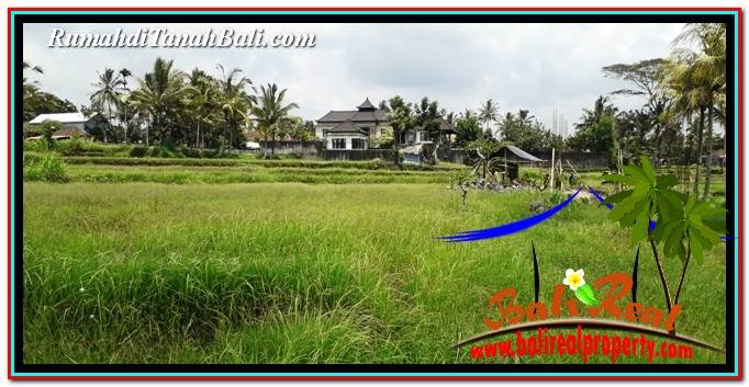 Detail Bali Real Property Rumah Jual Tanah Murah Nomer 52