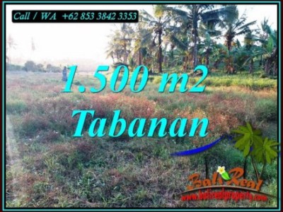 Detail Bali Real Property Rumah Jual Tanah Murah Nomer 56