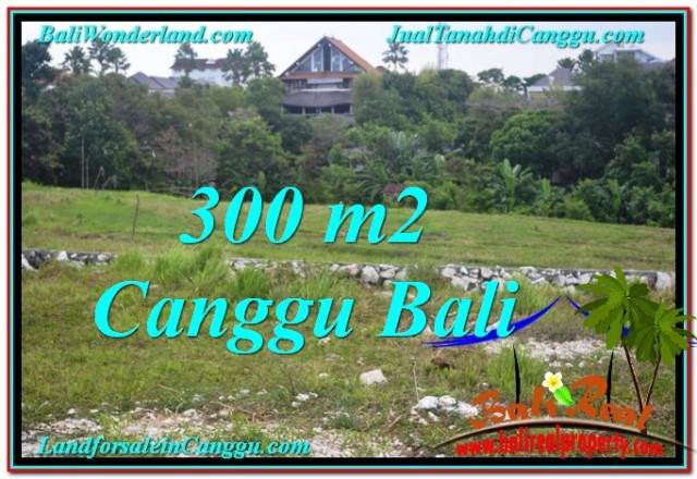 Detail Bali Real Property Rumah Jual Tanah Murah Nomer 57