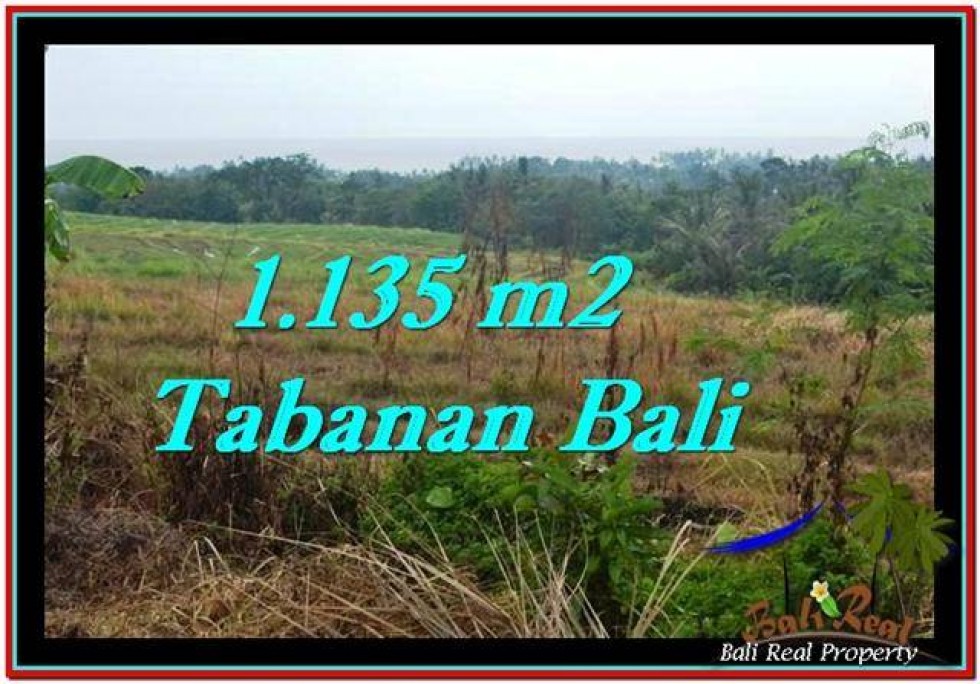 Detail Bali Real Property Rumah Jual Tanah Murah Nomer 9