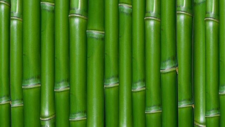 Detail Bamboo Background Hd Nomer 44