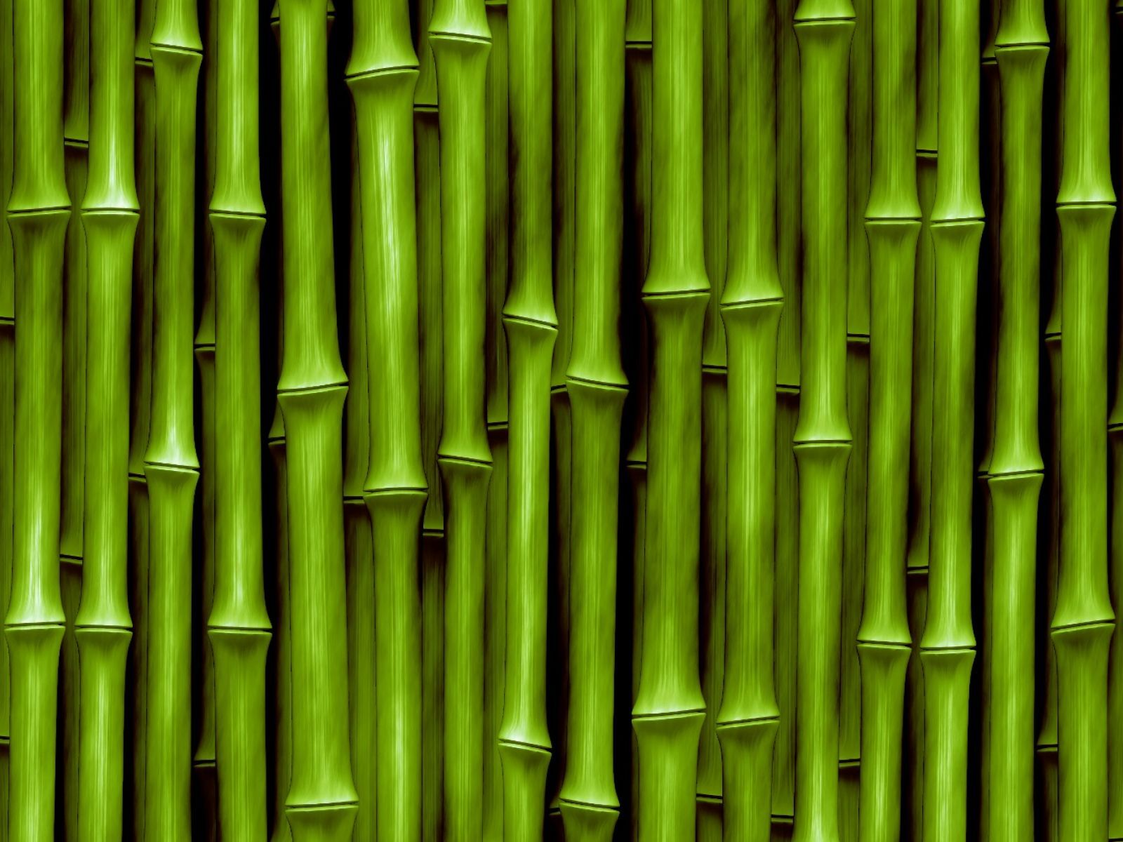 Detail Bamboo Background Hd Nomer 6