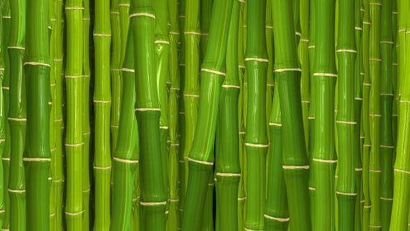 Detail Bamboo Background Images Nomer 2