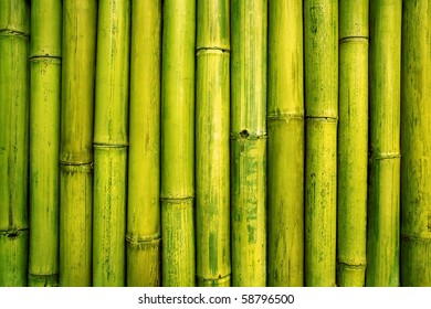 Detail Bamboo Background Images Nomer 11