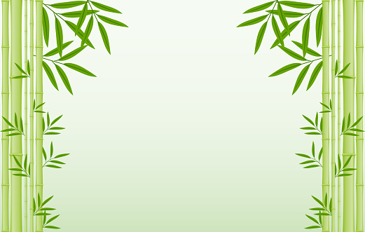 Detail Bamboo Background Images Nomer 14