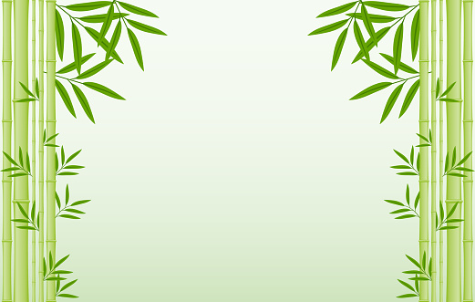 Detail Bamboo Background Images Nomer 14