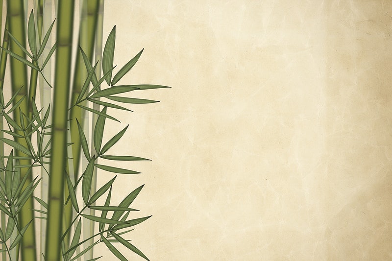 Detail Bamboo Background Images Nomer 17