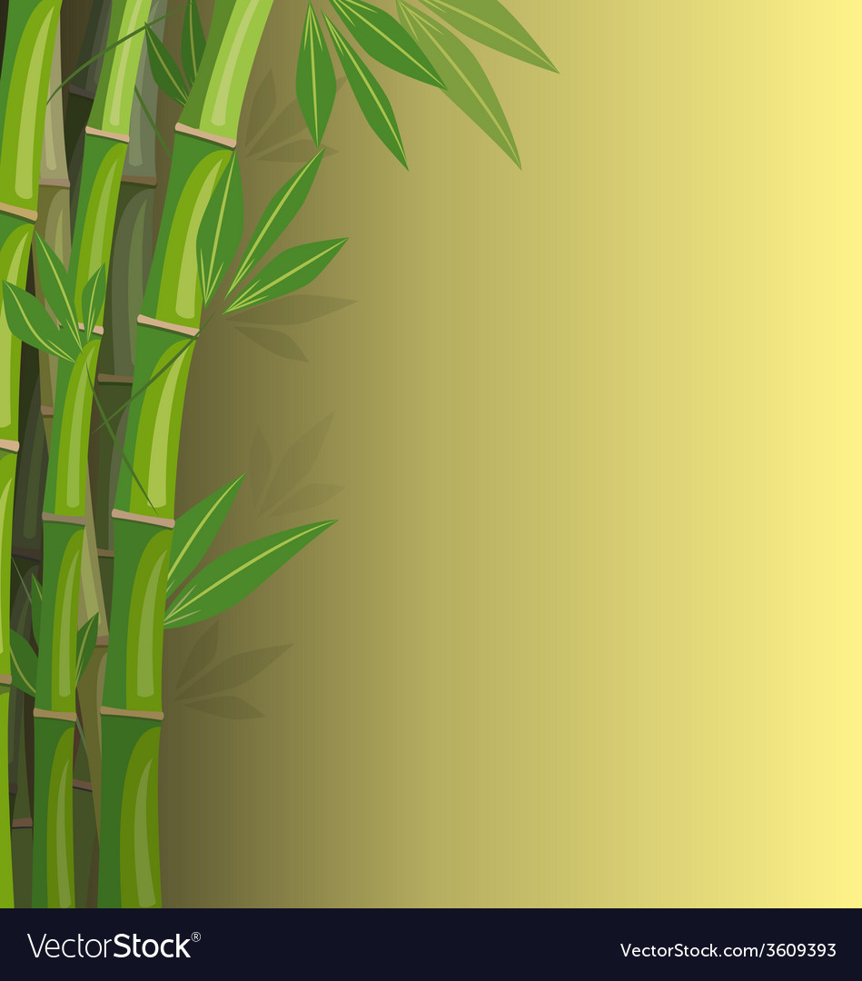 Detail Bamboo Background Images Nomer 18