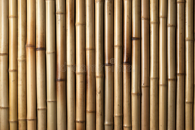 Detail Bamboo Background Images Nomer 22