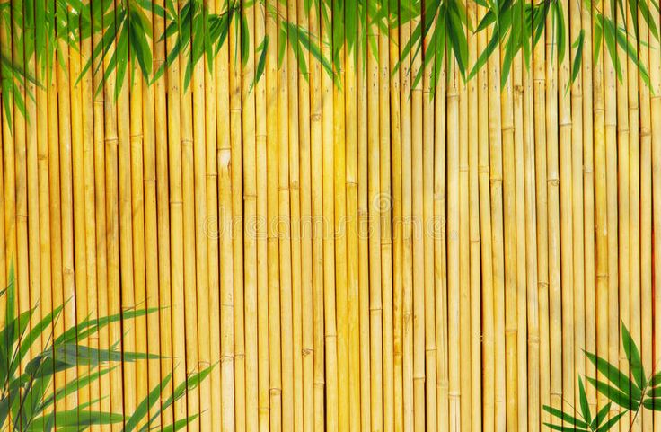 Detail Bamboo Background Images Nomer 4