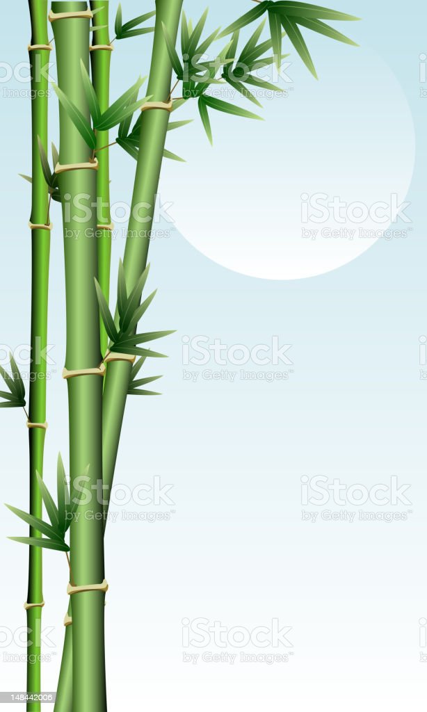 Detail Bamboo Background Images Nomer 38
