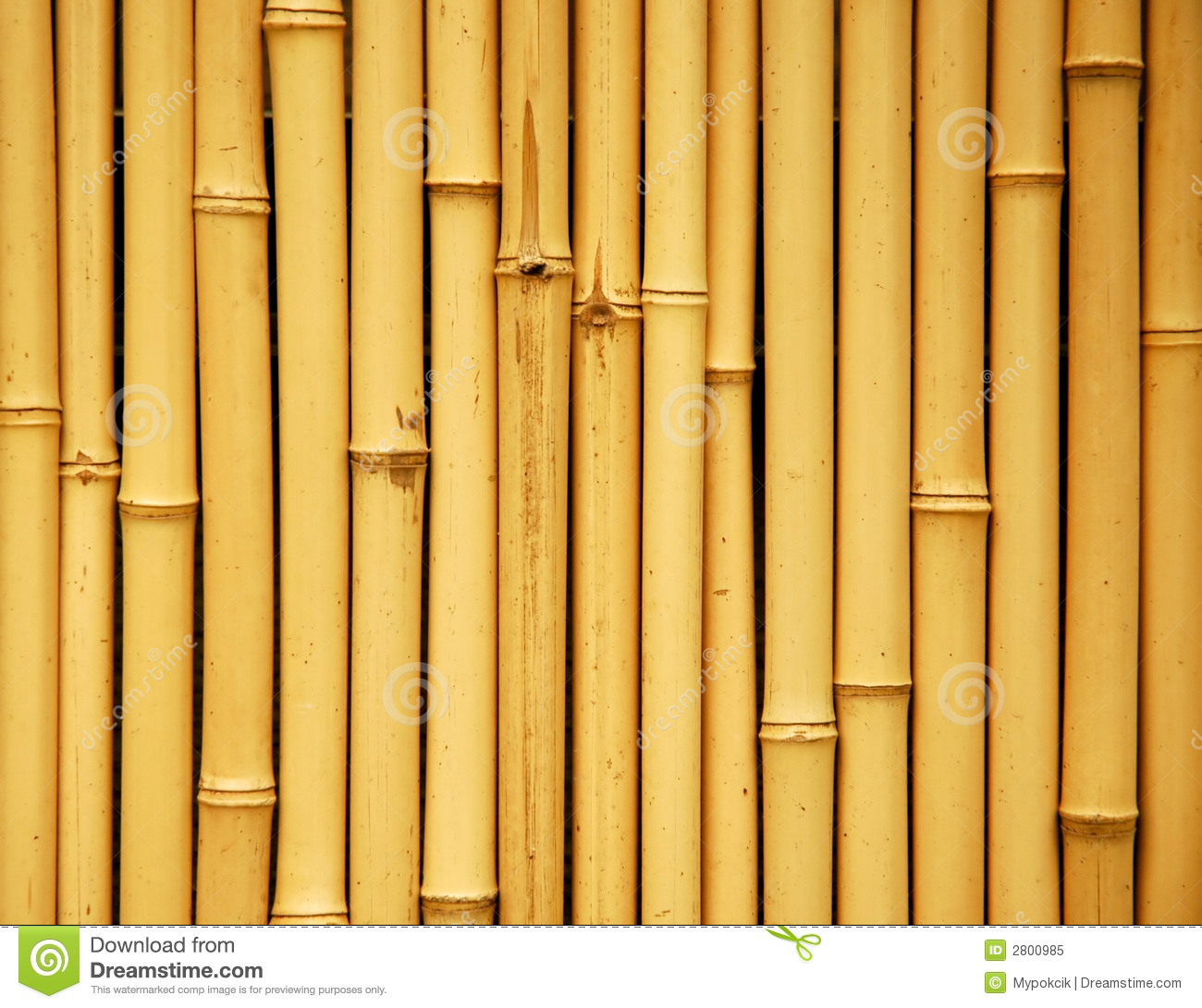 Detail Bamboo Background Images Nomer 40