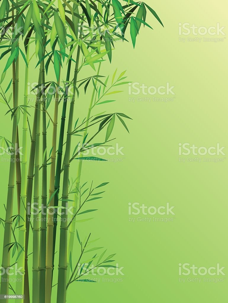 Detail Bamboo Background Images Nomer 41