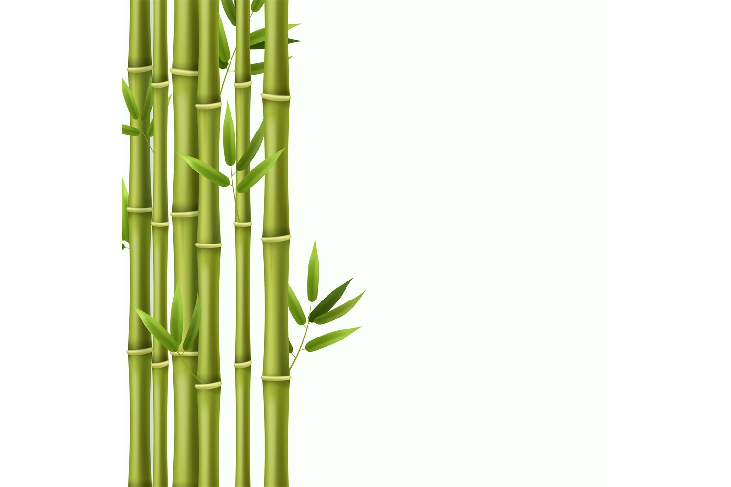 Detail Bamboo Background Images Nomer 43