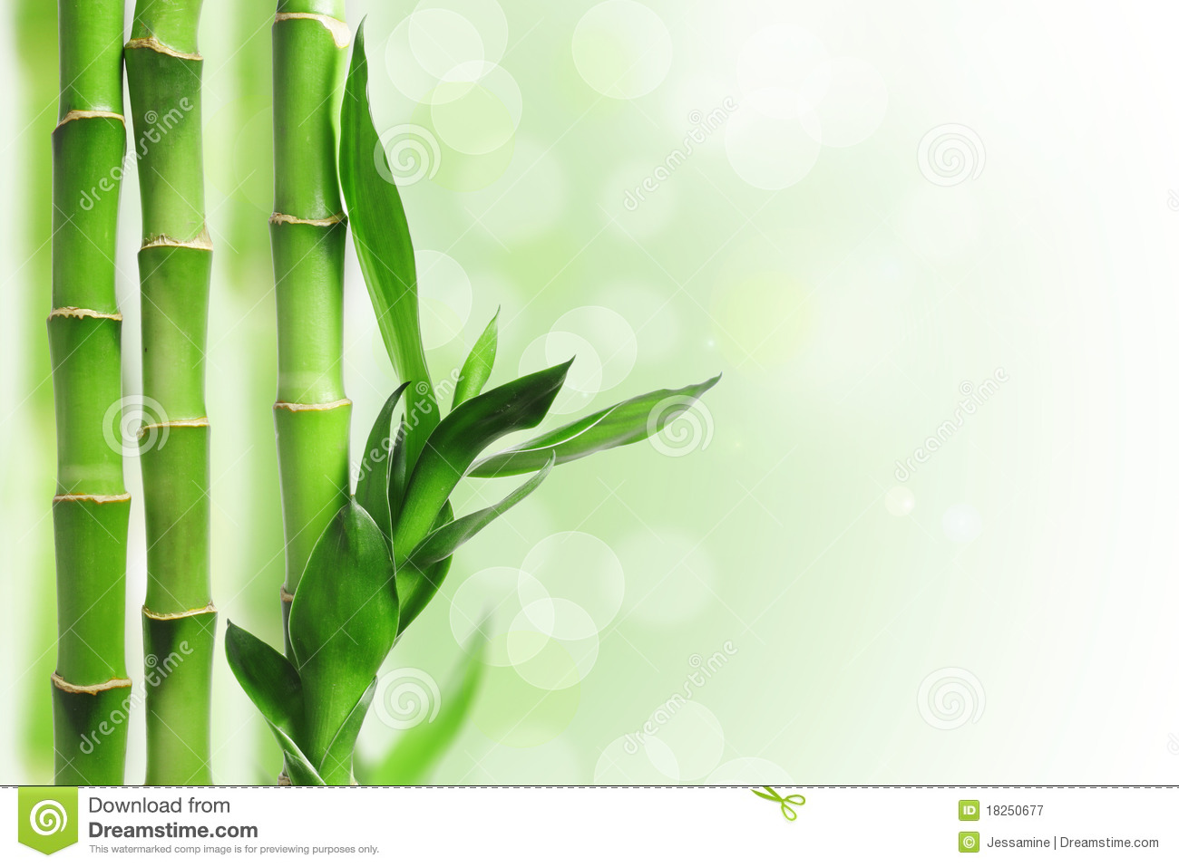 Detail Bamboo Background Images Nomer 44