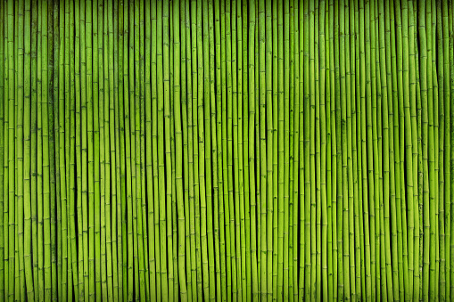 Detail Bamboo Background Images Nomer 45