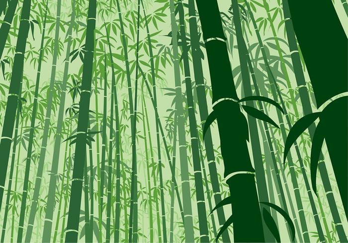 Detail Bamboo Background Images Nomer 46