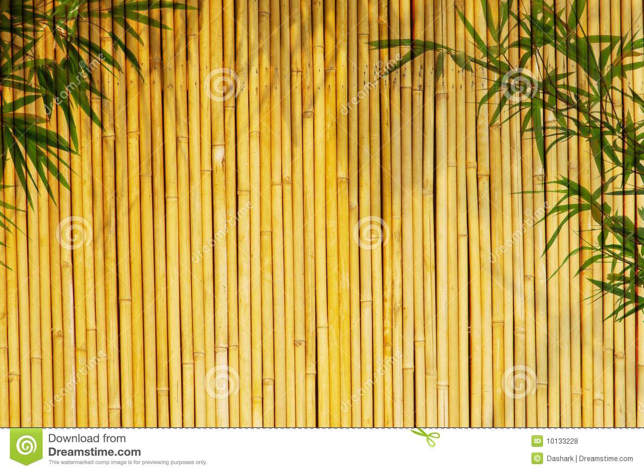 Detail Bamboo Background Images Nomer 52