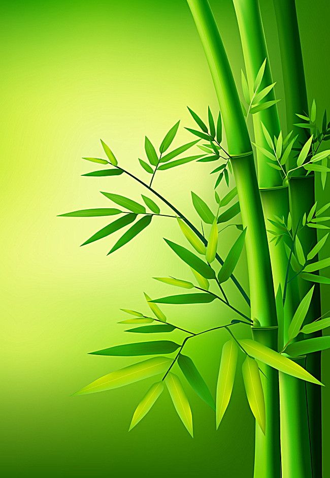 Detail Bamboo Background Images Nomer 54