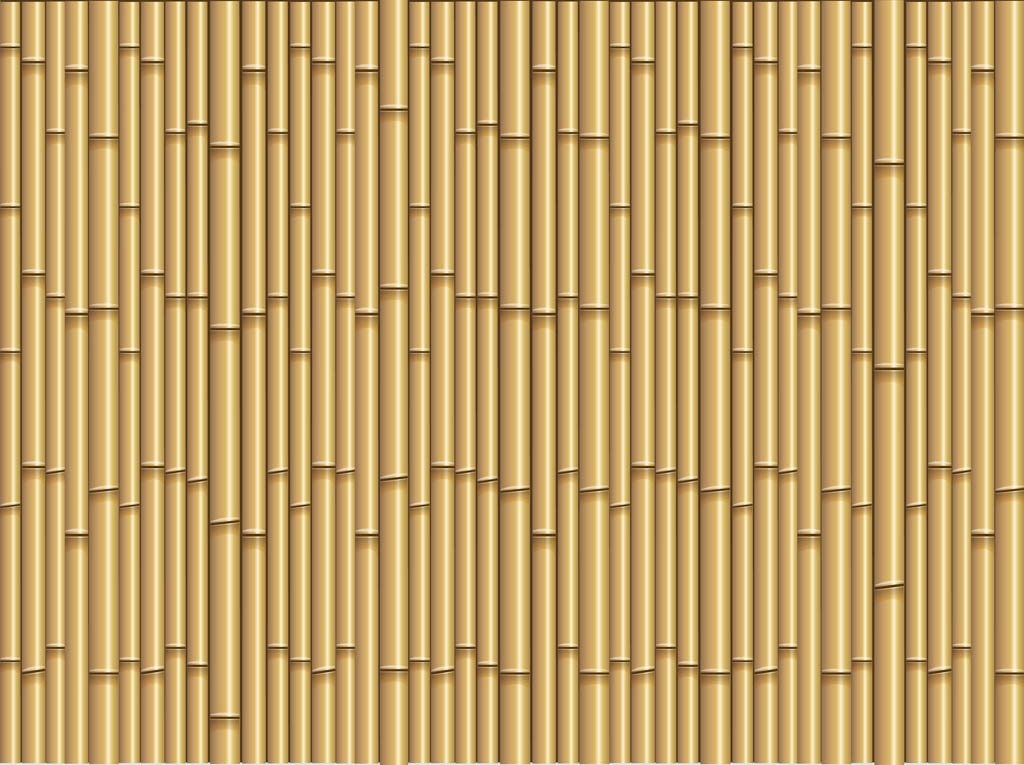 Bamboo Background Vector - KibrisPDR