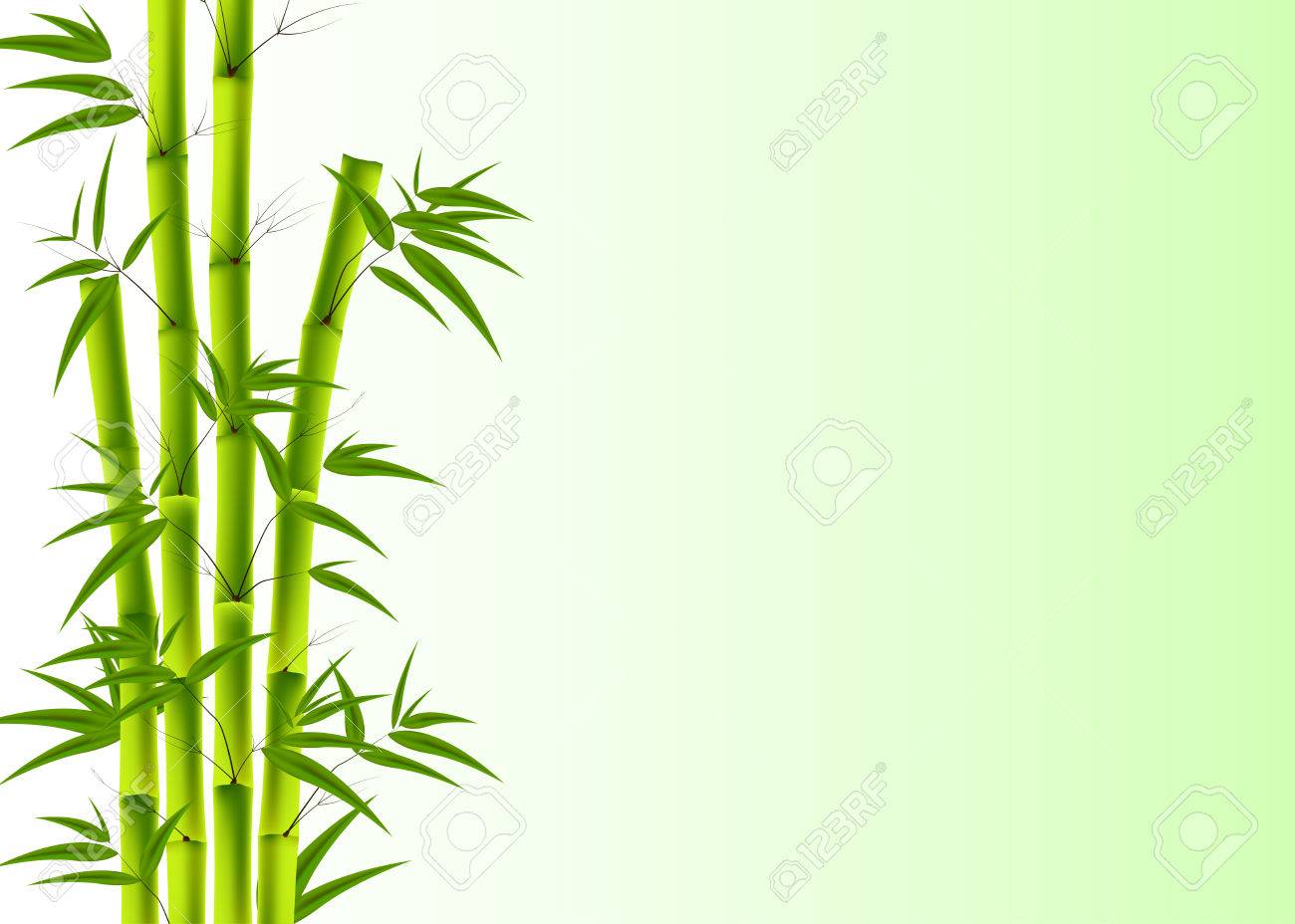 Detail Bamboo Background Vector Nomer 11