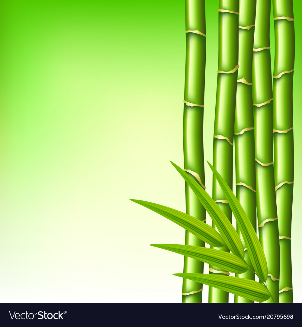 Detail Bamboo Background Vector Nomer 14