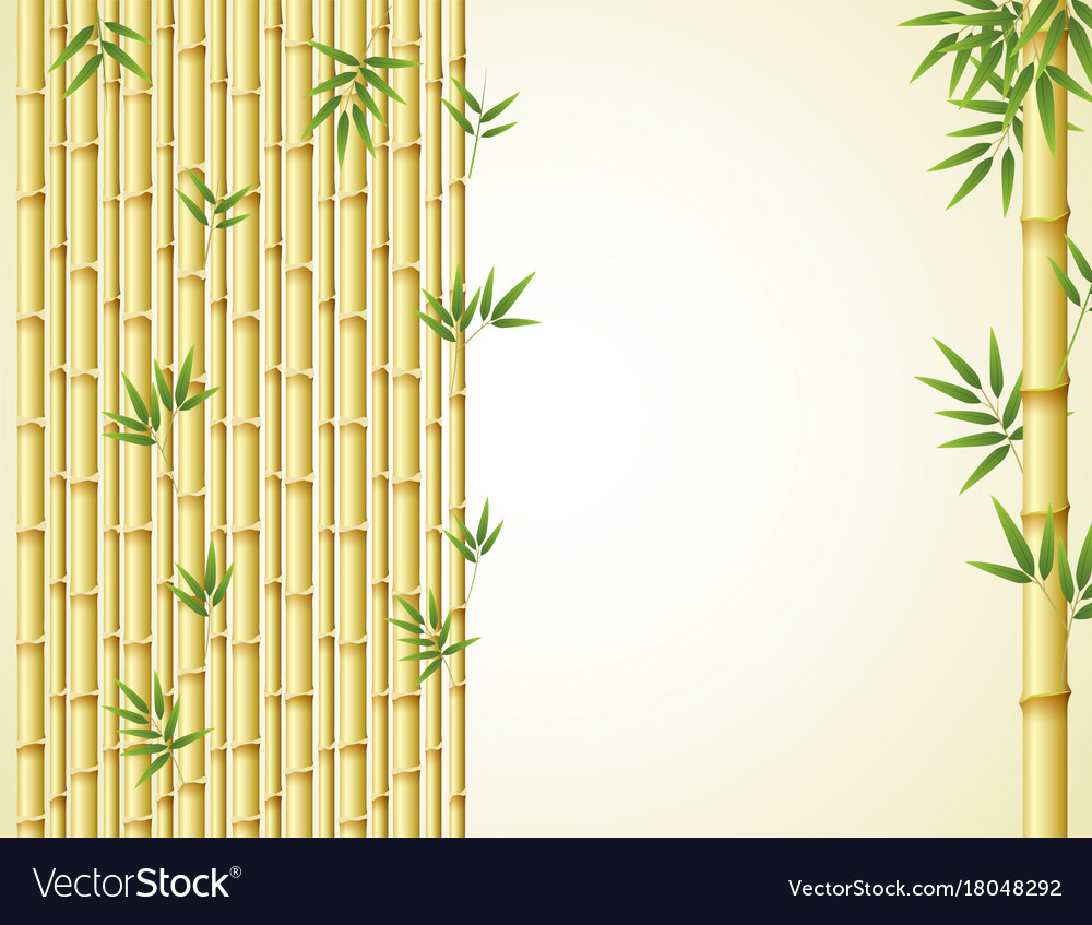 Detail Bamboo Background Vector Nomer 15