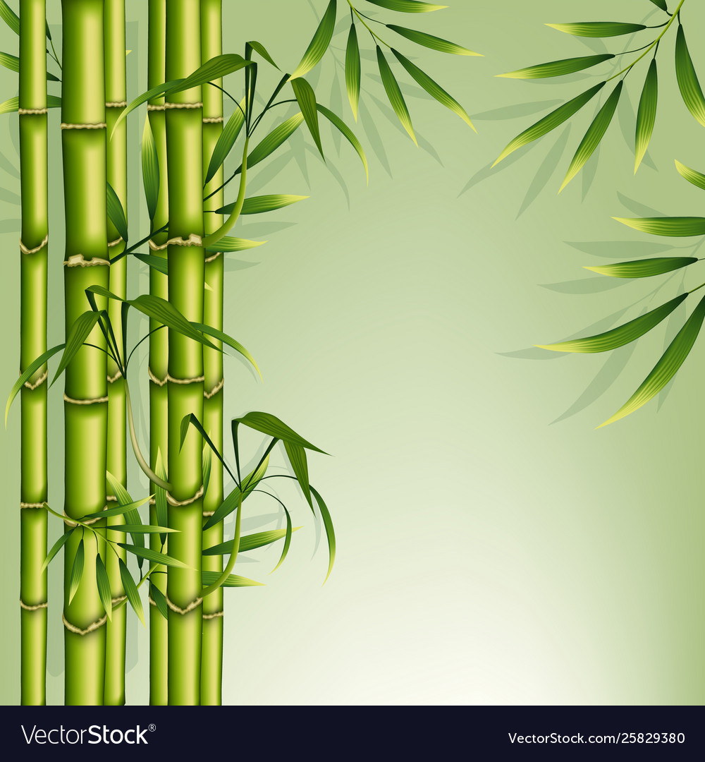 Detail Bamboo Background Vector Nomer 17
