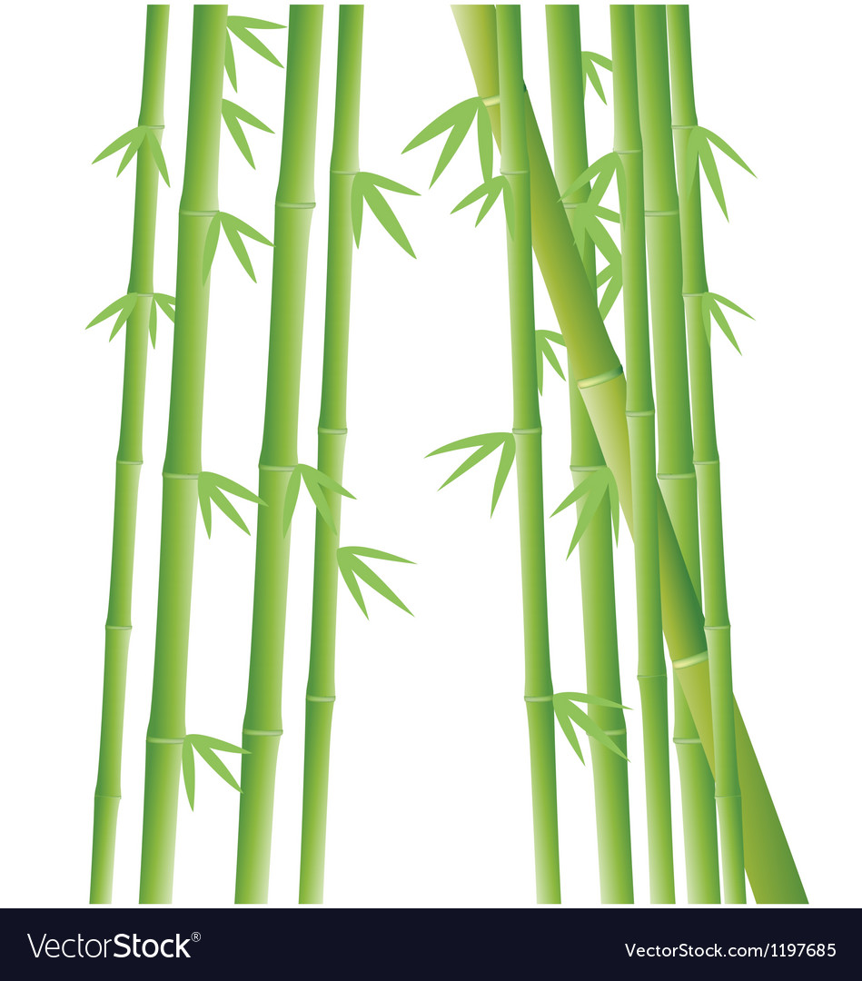 Detail Bamboo Background Vector Nomer 18