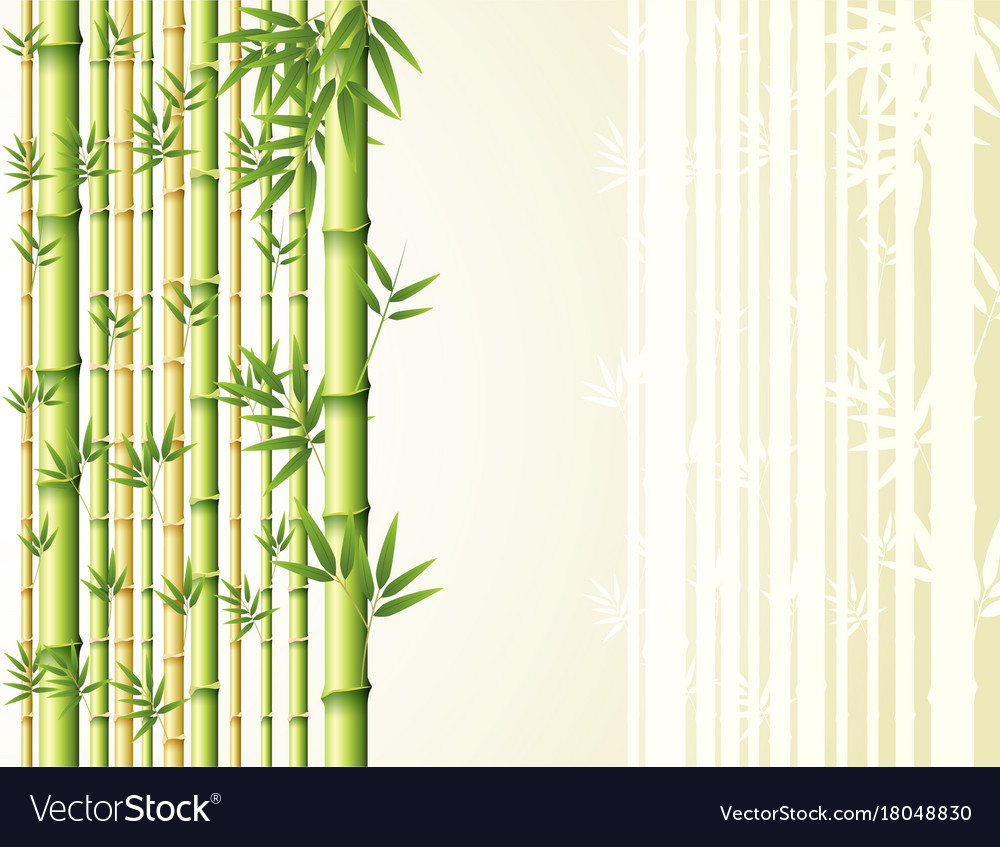 Detail Bamboo Background Vector Nomer 19