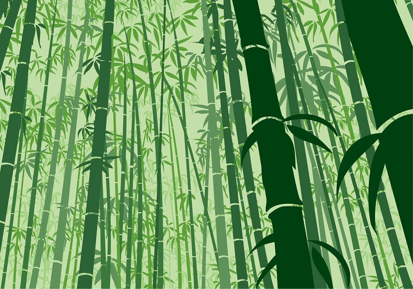 Detail Bamboo Background Vector Nomer 21