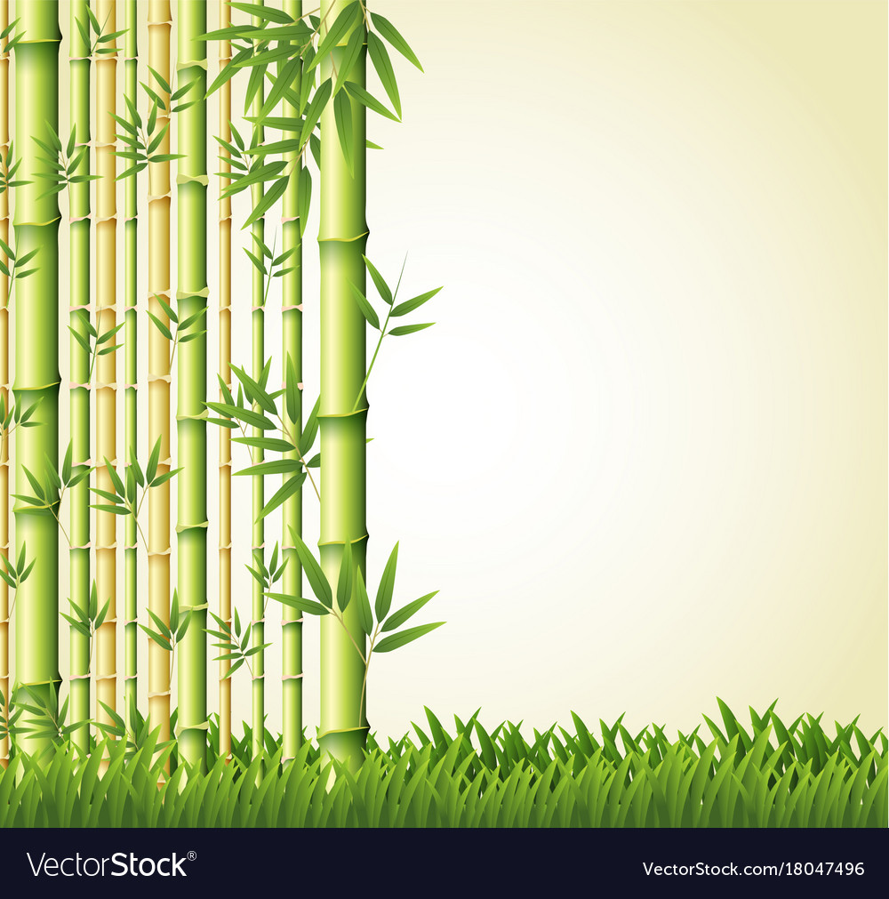 Detail Bamboo Background Vector Nomer 22