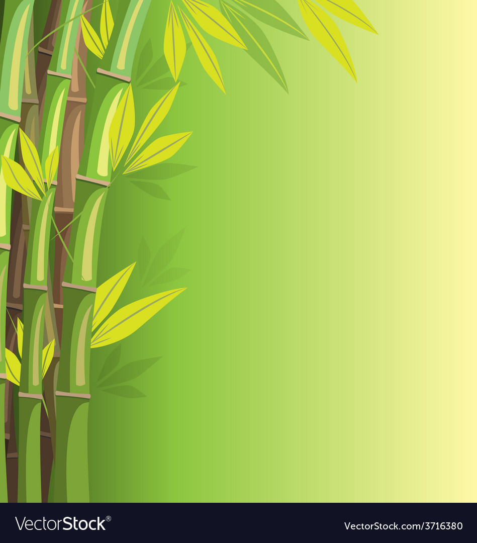 Detail Bamboo Background Vector Nomer 23