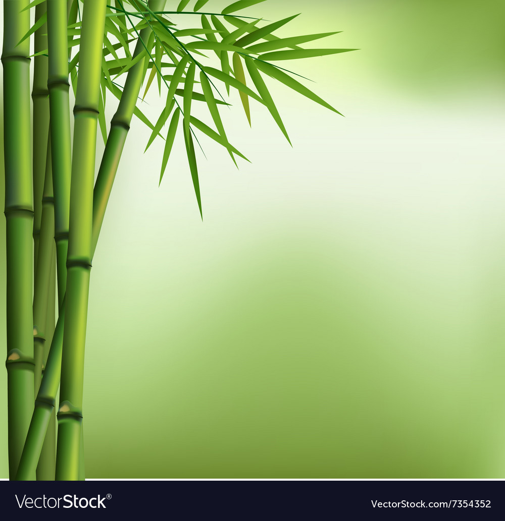 Detail Bamboo Background Vector Nomer 24