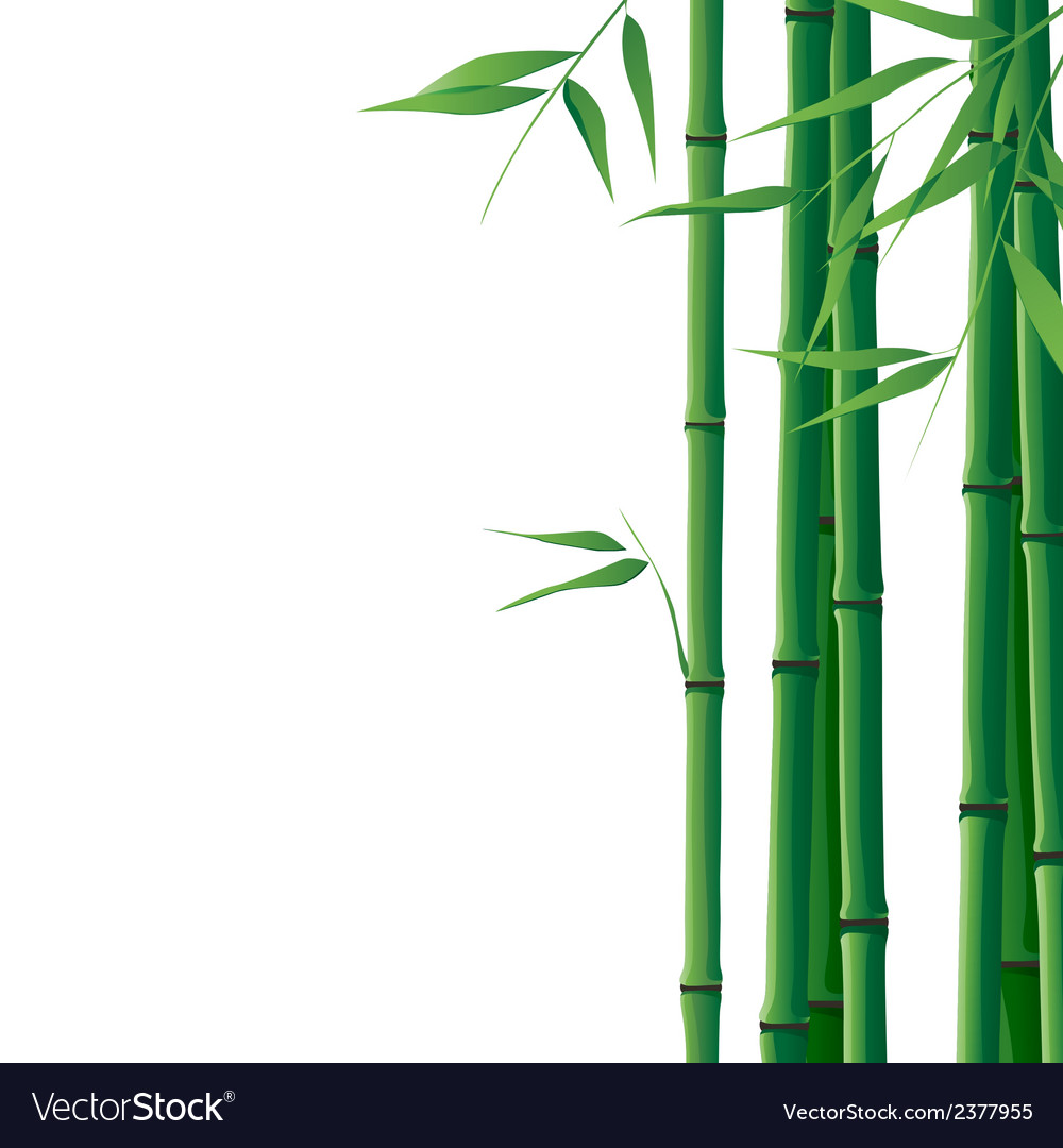 Detail Bamboo Background Vector Nomer 25