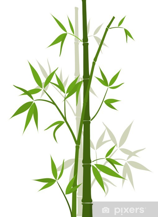 Detail Bamboo Background Vector Nomer 39
