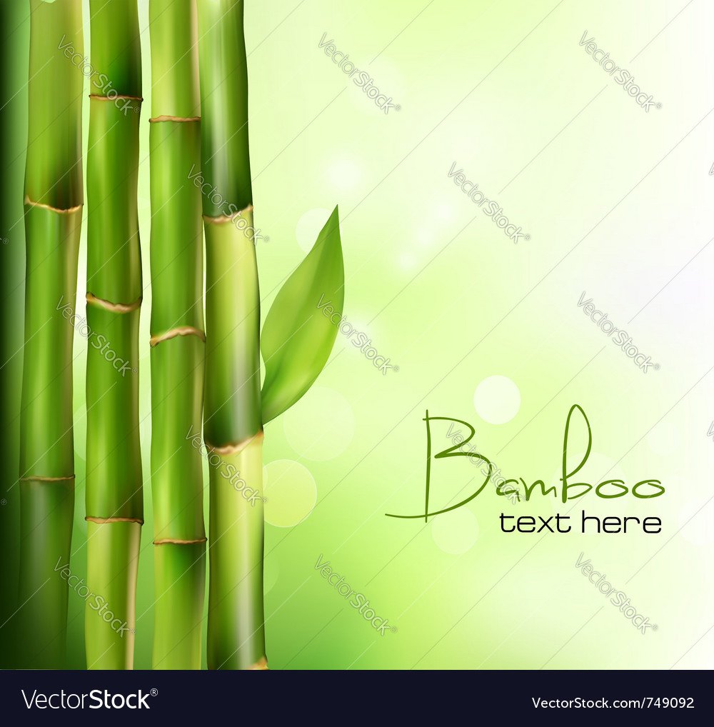 Detail Bamboo Background Vector Nomer 41