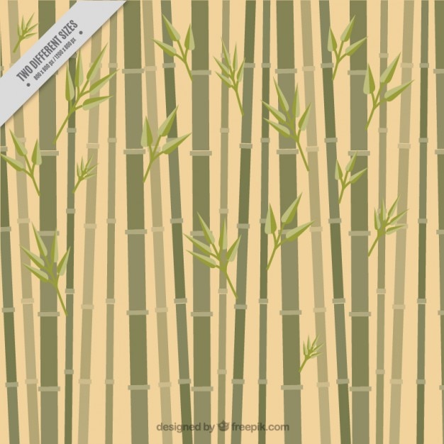 Detail Bamboo Background Vector Nomer 42