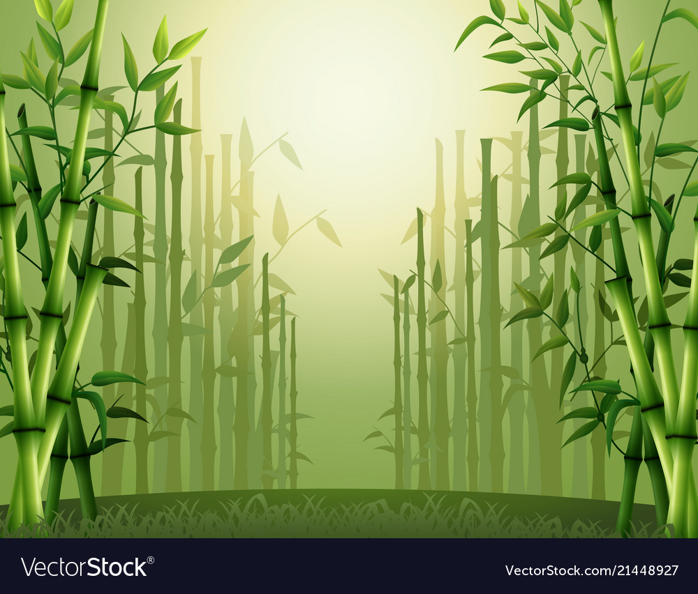 Detail Bamboo Background Vector Nomer 45