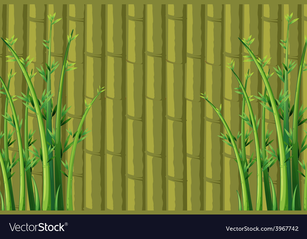 Detail Bamboo Background Vector Nomer 50