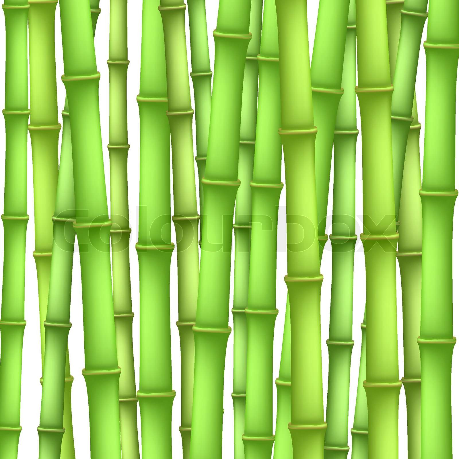 Detail Bamboo Background Vector Nomer 51