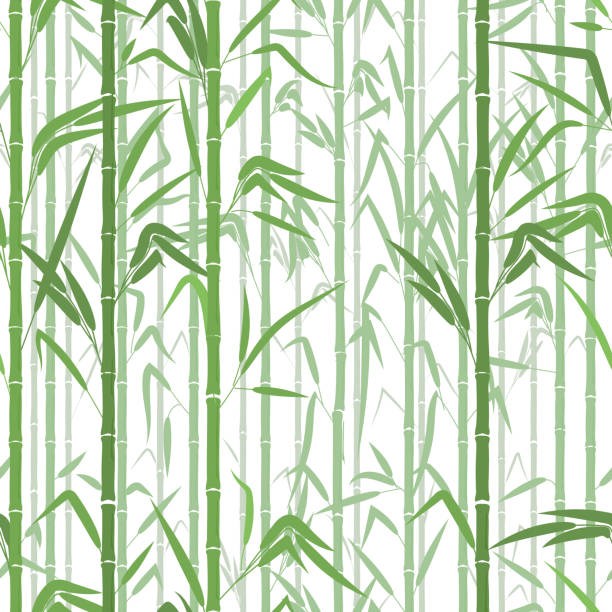 Detail Bamboo Background Vector Nomer 56