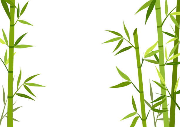 Detail Bamboo Background Vector Nomer 9