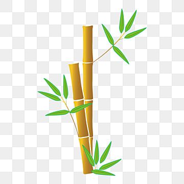 Detail Bamboo Clipart Nomer 23