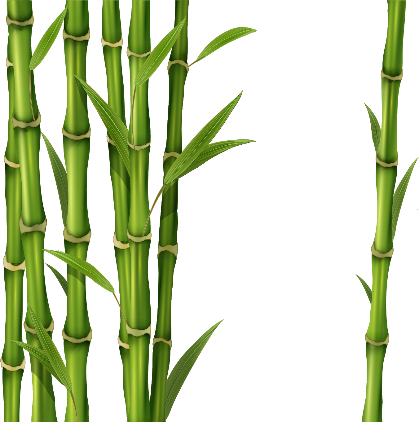 Detail Bamboo Clipart Nomer 28