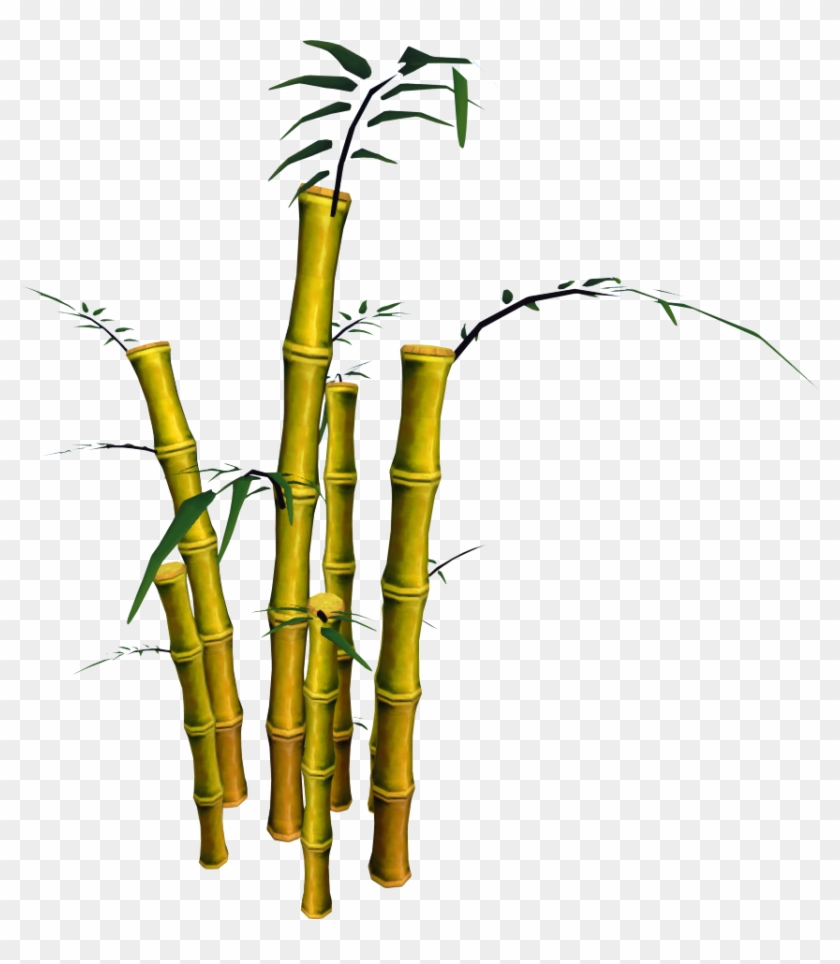 Detail Bamboo Clipart Nomer 40