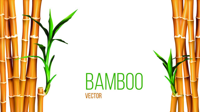 Detail Bamboo Clipart Nomer 42