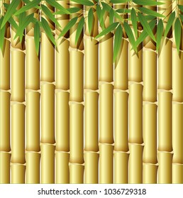 Detail Bamboo Clipart Nomer 47