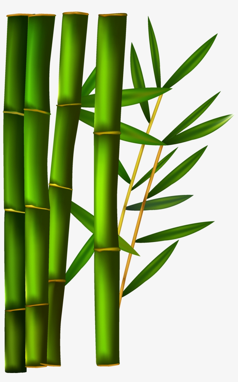 Detail Bamboo Clipart Nomer 8