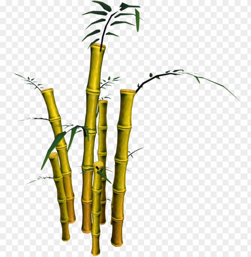 Detail Bamboo Download Nomer 17